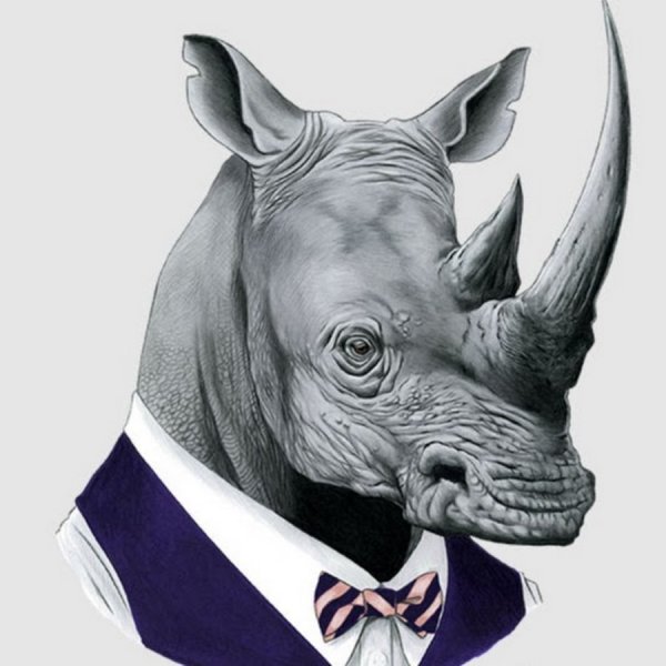 Носорог на аву