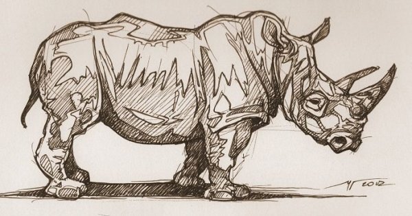 Носорог скетч