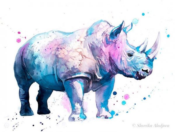 Носорог тату акварель