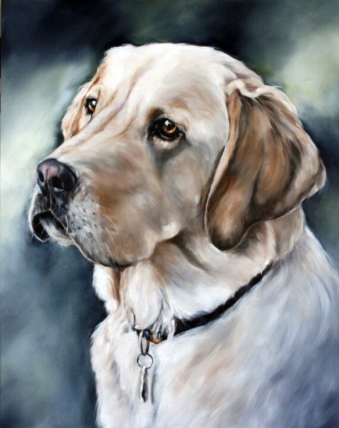 Лабрадор арт