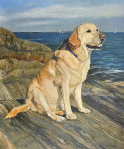 Лабрадор ретривер арт