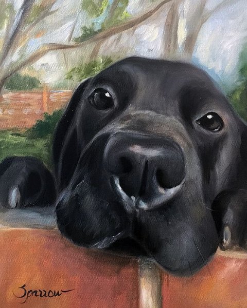 Разрисованный лабрадор