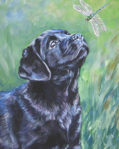 Лабрадор арт