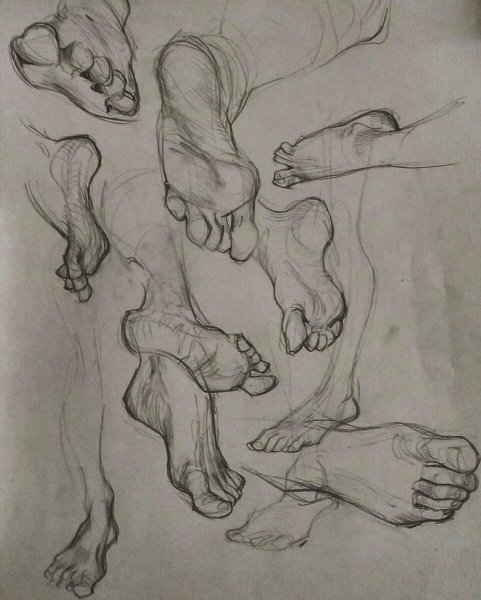 Ноги иллюстрация