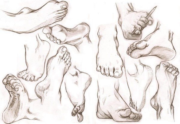 Ноги туториал