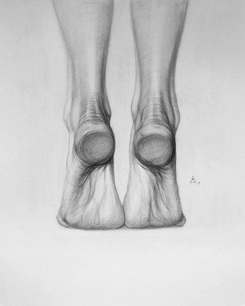 Наброски стопы