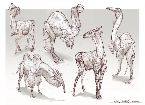 Референсы существ