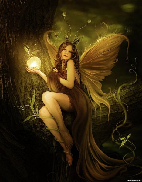 Феи красивые