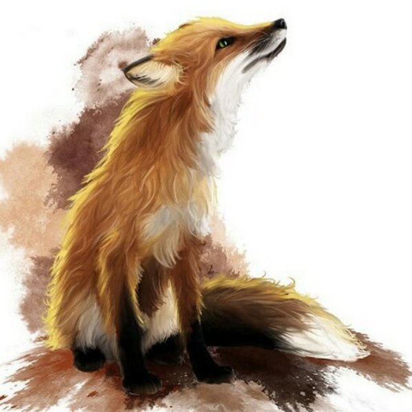 Лисы Рисованные