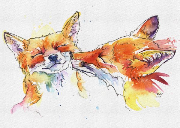 Лиса акварелью