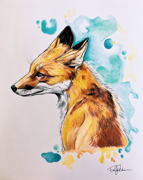 Лиса акварелью для начинающих