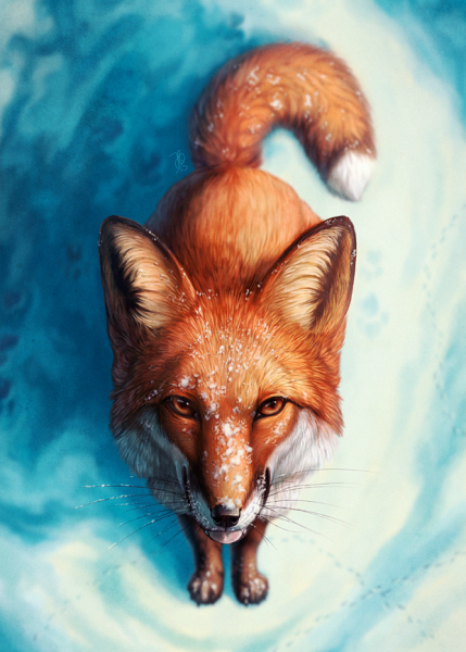 Крутые лисы