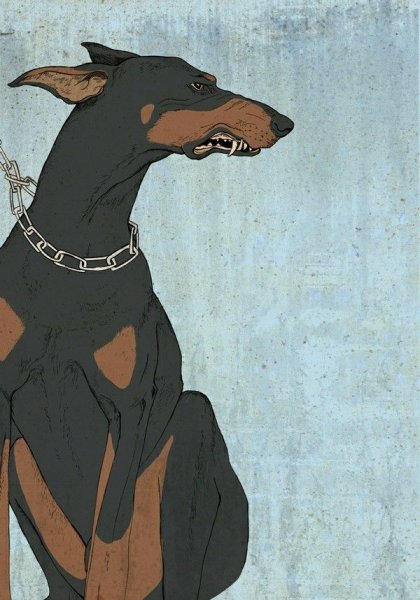 Кирилл Doberman