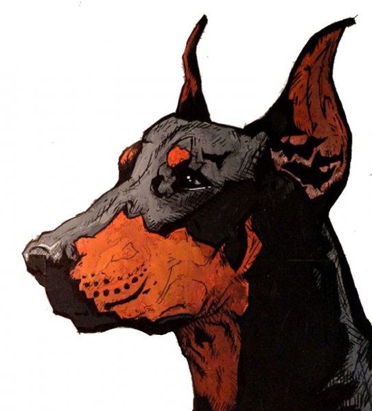 Доберман арт злой