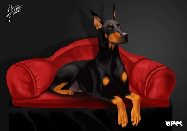 Доберман демон