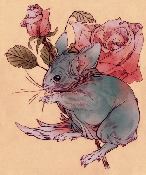 Простой арт животные