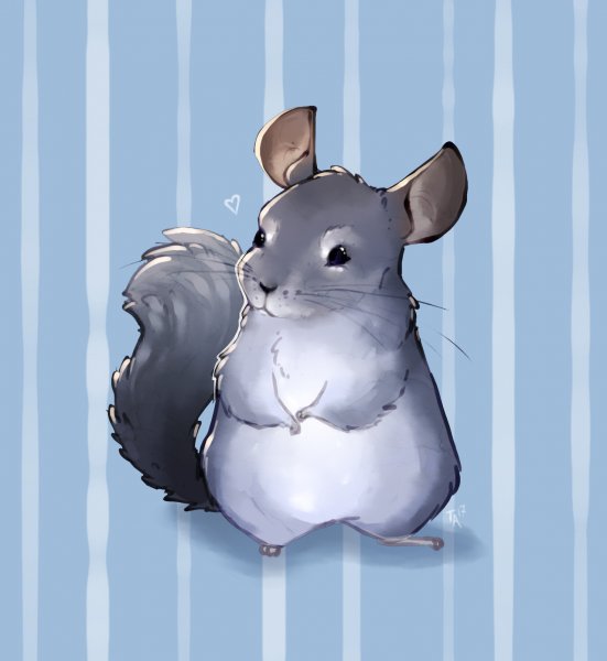 Шиншилла аниме