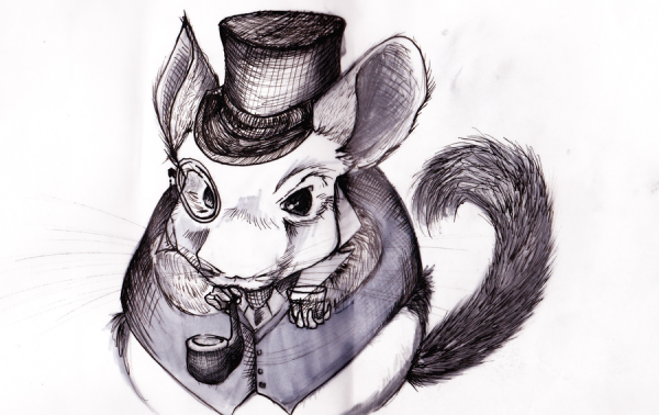 Мультяшные шиншиллы