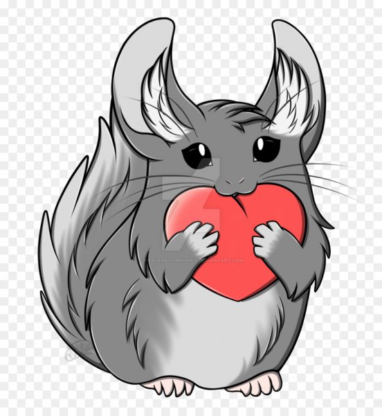 Шиншилла арт