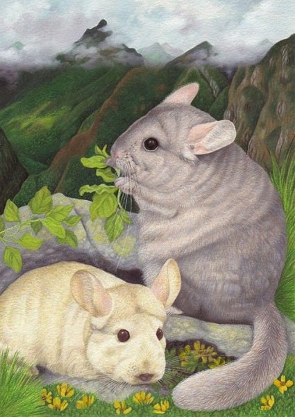 Картина живопись шиншилла