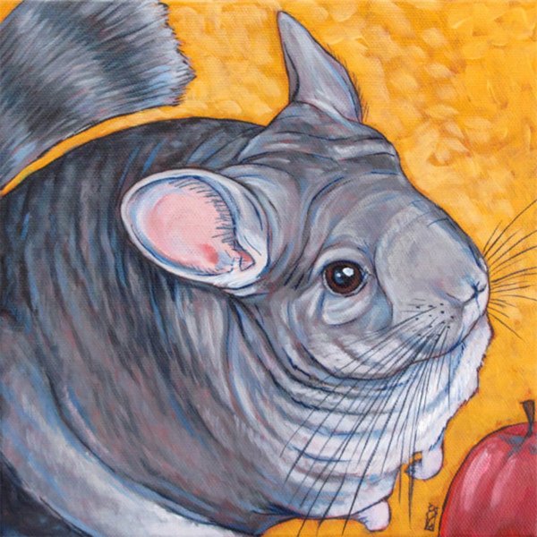 Стилизация шиншилл