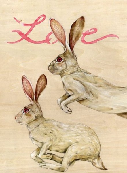 Заяц арт