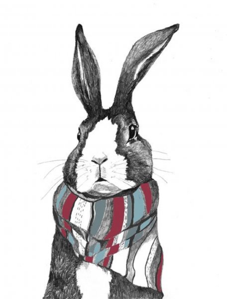 Стильный заяц