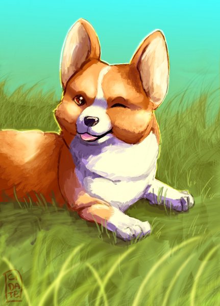 Вельш корги мультик