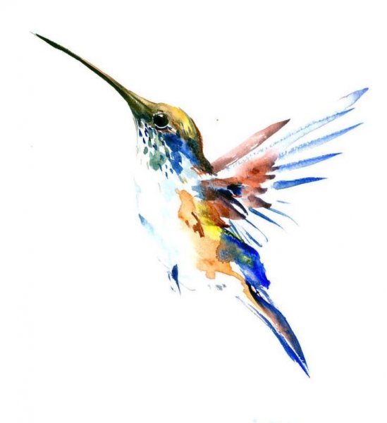 Акварельные птички на белом фоне