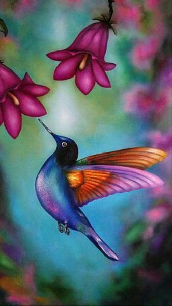 Колибри живопись