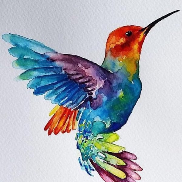 Колибри акриловыми красками
