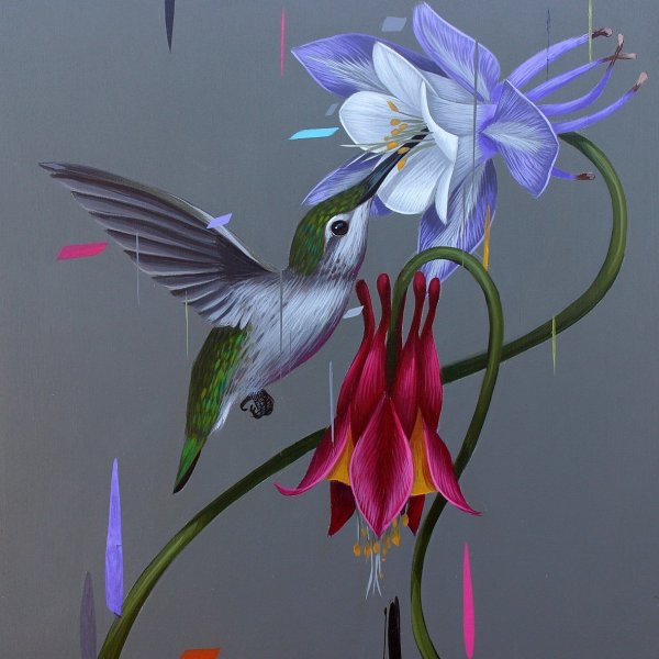 Колибри фэнтези