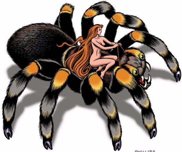 Тарантул мультяшный