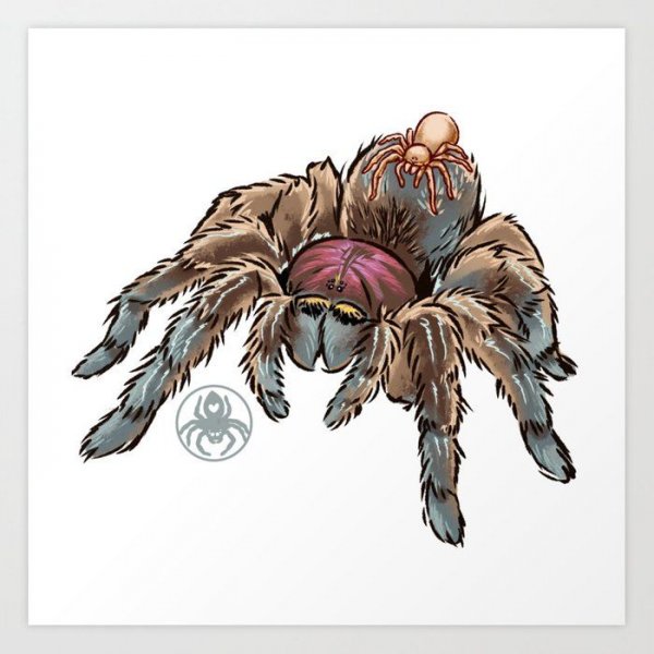 Найди лишнее• Скорпионы, пауки, клещи, пчёлы.