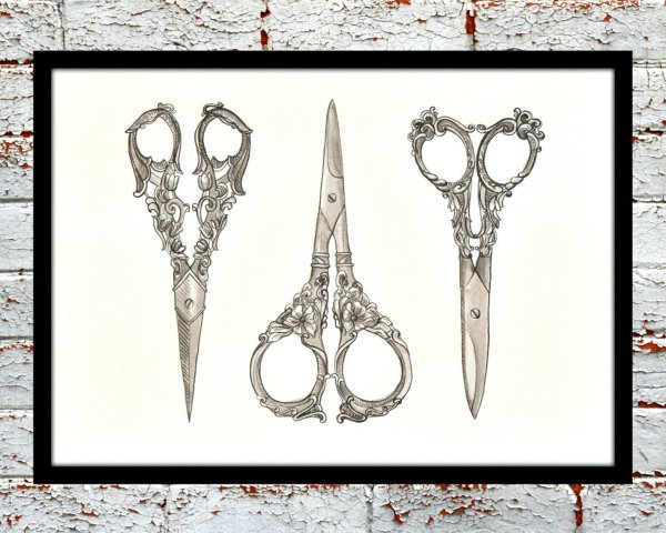Эскиз старых ножницы