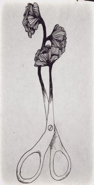 Метаморфоза рисунок