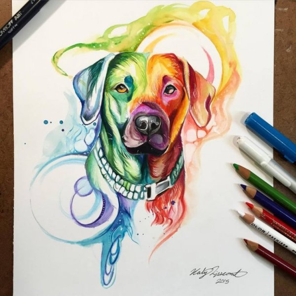 Собака цветными карандашами