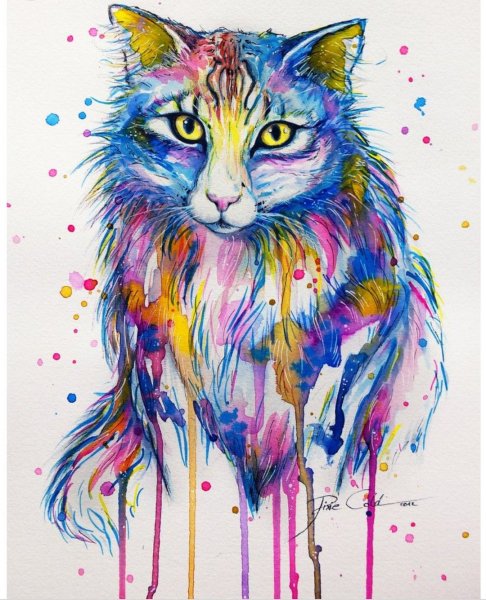 Рисунки цветные