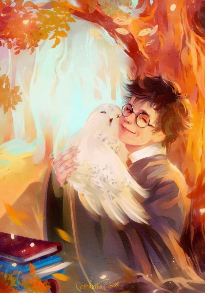 Harry Potter Art