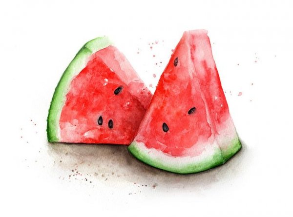 Кусочек арбуза акварелью