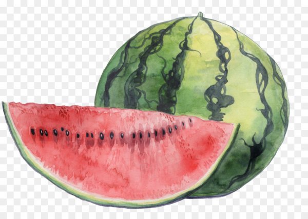 Рисование Арбуз