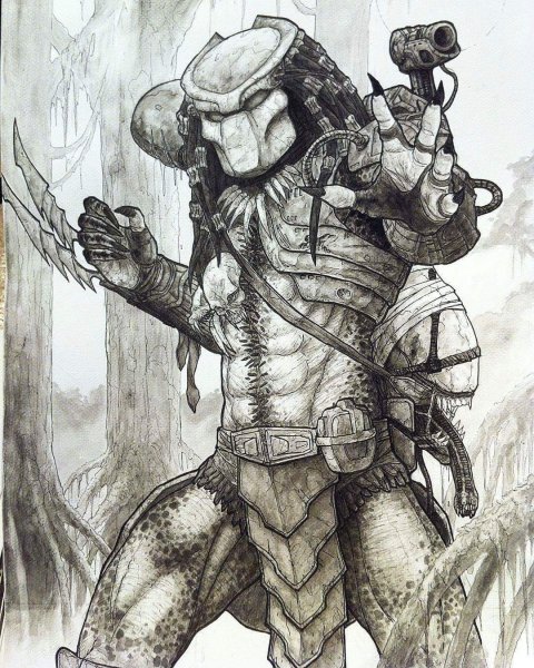 Хищник карандашом