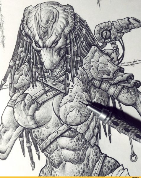 Хищник Наброски