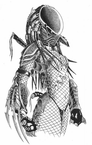 Хищник скетч