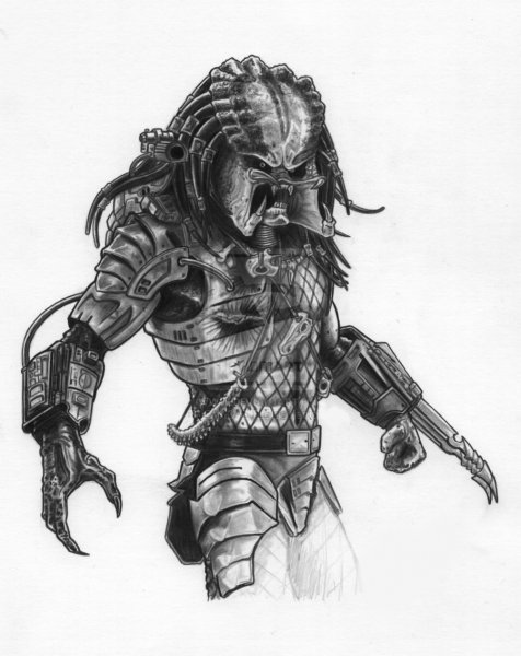 Хищник рисунок