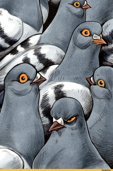 Нарисовать смешного голубя