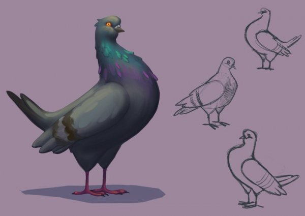 Голубь в мультяшном стиле