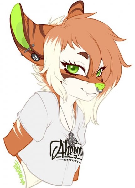 Фурри персы