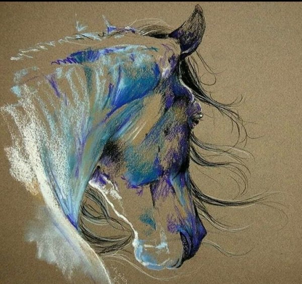 Paulina Stasikowska картины