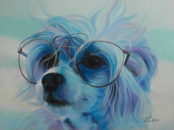 Собаки в пастельных тонах